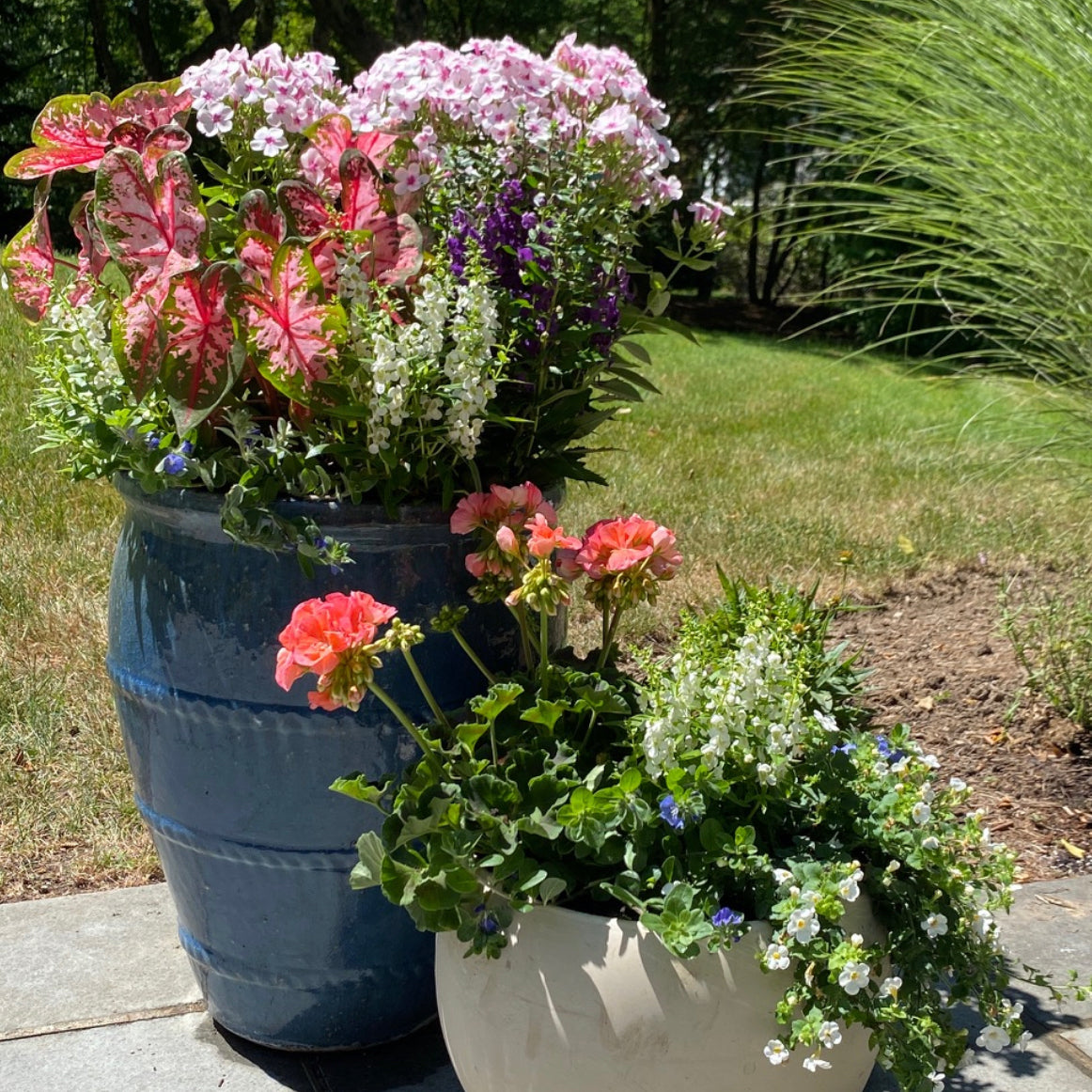 Warmer Weather and Sunnier Skies? Cue Container Gardening