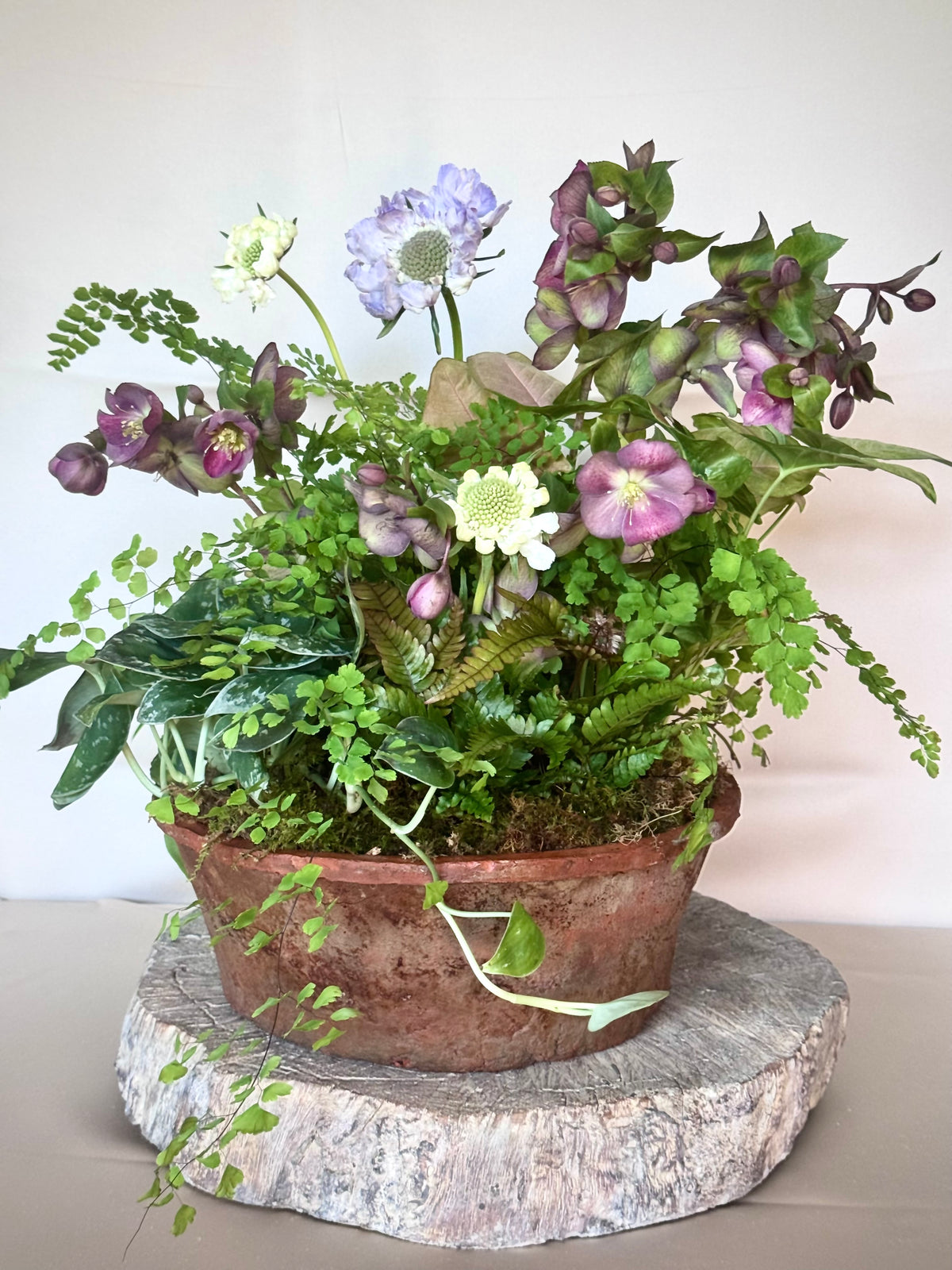 Pot et Fleur | Fox and the Fleur